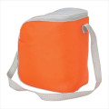Cool Spring 12-Can Cooler