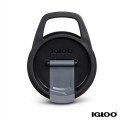 Igloo® 32 oz. Double Wall Vacuum Insulated Tumbler