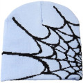 Knitted Beanie W/ Spider Web Design