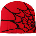 Knitted Beanie W/ Spider Web Design