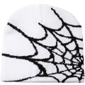 Knitted Beanie W/ Spider Web Design