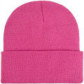 Premium Knitted Cuffed Beanie