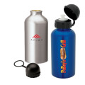 16.9 oz. Domed Flask