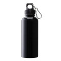 Brio 20 oz. PS Water Bottle w/ Carabiner
