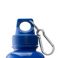 Brio 20 oz. PS Water Bottle w/ Carabiner
