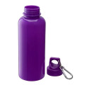 Brio 20 oz. PS Water Bottle w/ Carabiner