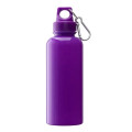 Brio 20 oz. PS Water Bottle w/ Carabiner