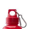 Brio 20 oz. PS Water Bottle w/ Carabiner