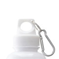 Brio 20 oz. PS Water Bottle w/ Carabiner