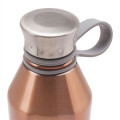 Manna™ 25 oz. Haute Steel Bottle