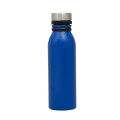 Trek 20 oz. Double Wall Stainless Steel Bottle