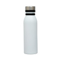 Trek 20 oz. Double Wall Stainless Steel Bottle