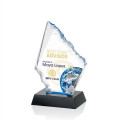 Reddington VividPrint™ Award