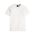 Hanes Unisex Perfect-T DTG T-Shirt