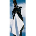 16" X 25" Cotton Velour Beach Towel
