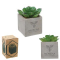 Mini Faux Potted Succulent
