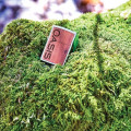 ZIPPO® WOODCHUCK USA CEDAR WINDPROOF LIGHTER