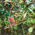 ZIPPO® WOODCHUCK USA CEDAR WINDPROOF LIGHTER