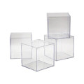 4" x 4" x 4" Clear Plastic Box