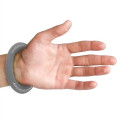 Zoom Wrist Disc