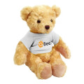 Chelsea Teddy Bear™ Honey Bear - 10" Plush