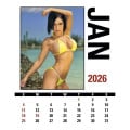Triumph® Calendars Press-N-Stick Full-Color Header Sunshi...