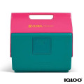 Igloo® KoolTunes® Cooler