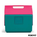 Igloo® KoolTunes® Cooler