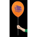 Balloon Sticks