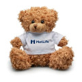 6" Teddy Bear