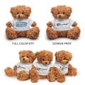 6" Teddy Bear