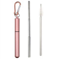 Reusable Stainless Steel Straw