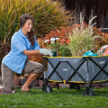 Coleman® Camp Wagon