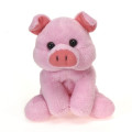 6" Lil' Pig