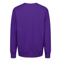 MV Sport Unisex Pro-Weave® Crewneck Sweatshirt