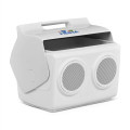 Igloo® Kooltunes® 14 Qt Cooler