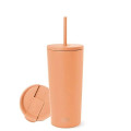 16 oz Simple Modern® Stainless Steel Insulated Straw Tumbler