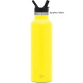 20 oz Simple Modern® Stainless Insulated Ascent Water Bottle