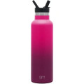 20 oz Simple Modern® Stainless Insulated Ascent Water Bottle