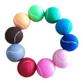 Pet Fetch Toy Tennis Ball