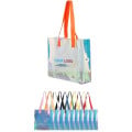 Stadium Approved Clear Tote Bag