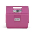 Igloo Playmate Classic KoolTunes Cooler