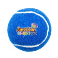 Pet Fetch Toy Tennis Ball