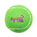 Pet Fetch Toy Tennis Ball