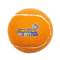 Pet Fetch Toy Tennis Ball