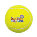 Pet Fetch Toy Tennis Ball