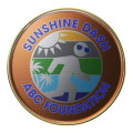 Round Lapel Pins (Express)