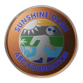 Round Lapel Pins (Express)