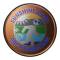 Round Lapel Pins (Express)
