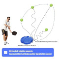 Pickleball Rebound Trainer with 40 Hole Ball